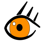 EyeVision Technology