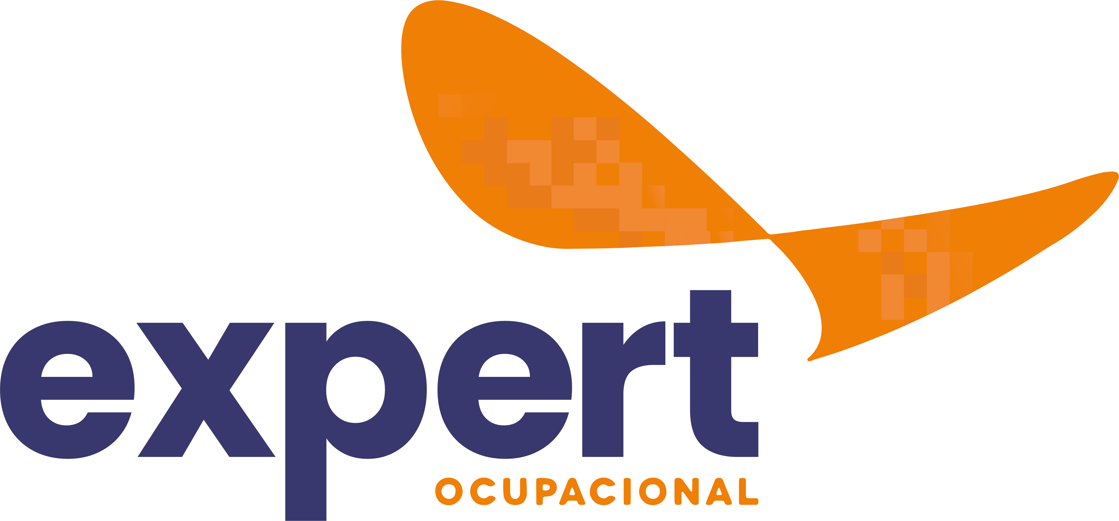 Expert Ocupacional