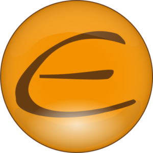 Express Software Group