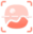 Extract Text from Image