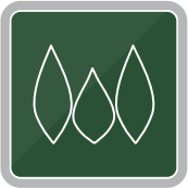 Forestry TEP