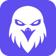 FalconEye AI Solutions
