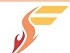 Falcon Software