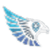 FalconZoom