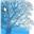 Family History Products