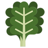 Farmer Ecommerce