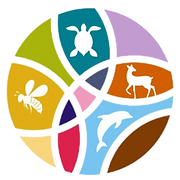 Fashion For Biodiversity Solutions