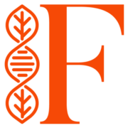 Feirie