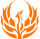 Fenix Insight