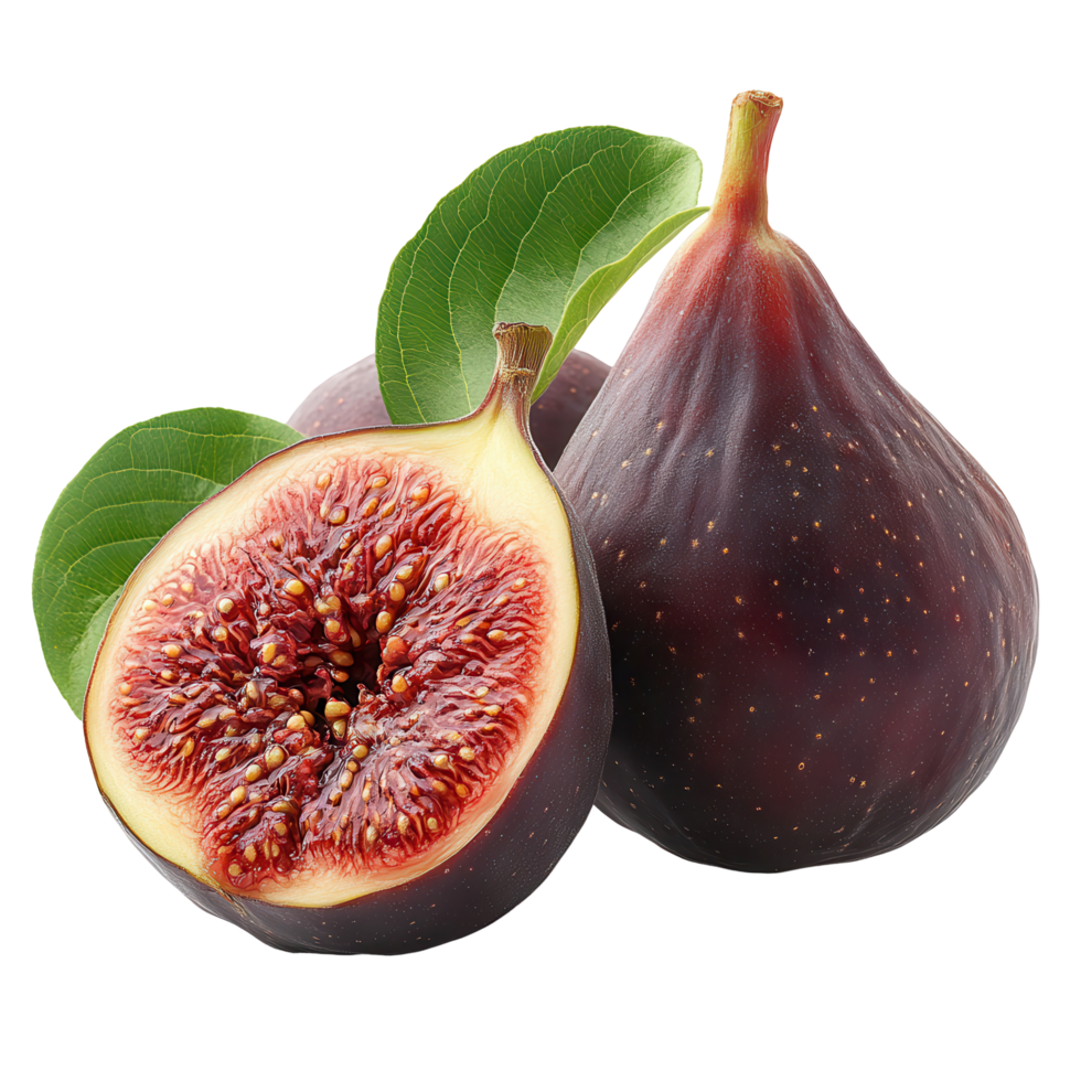 Fig