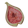 FIG Agency