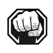 Fight Embedded