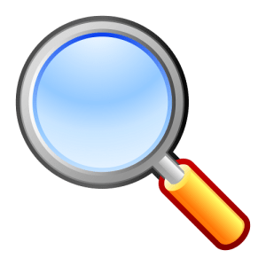 Financial Examiner