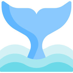 FindWhale