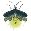 Firefly Scout