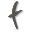 firmensms.at