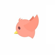 Fledglings’ Flight