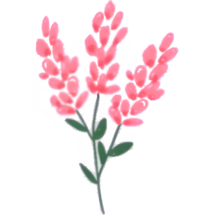 Fleur