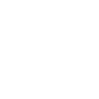 Flexitive