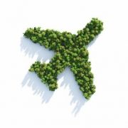 Flight Carbon Offset