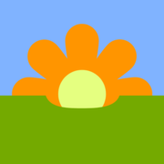 Flora Box