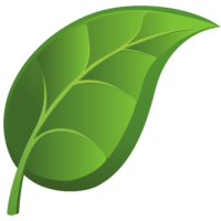 Flourishing Plants