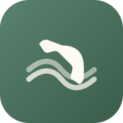 Flow Support AI