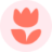 FlowWOW