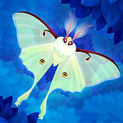 Flutter: Starlight