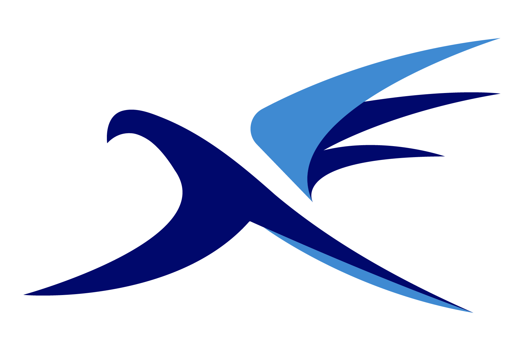 Flyger Academy