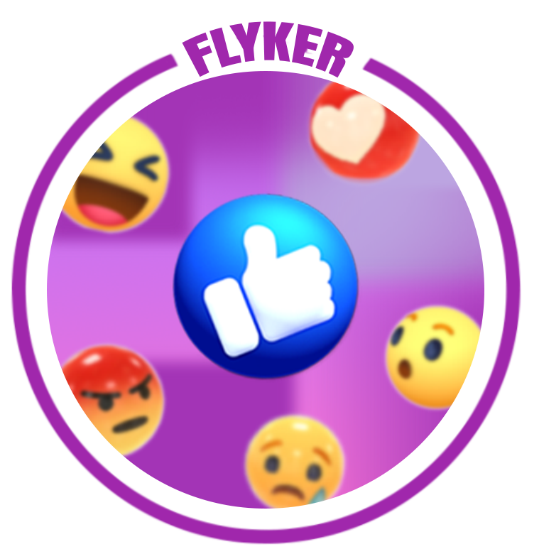 Flyker