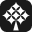 Flyp Academy