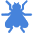 FlyWire