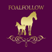 FoalFollow