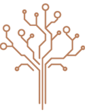 ForestSource