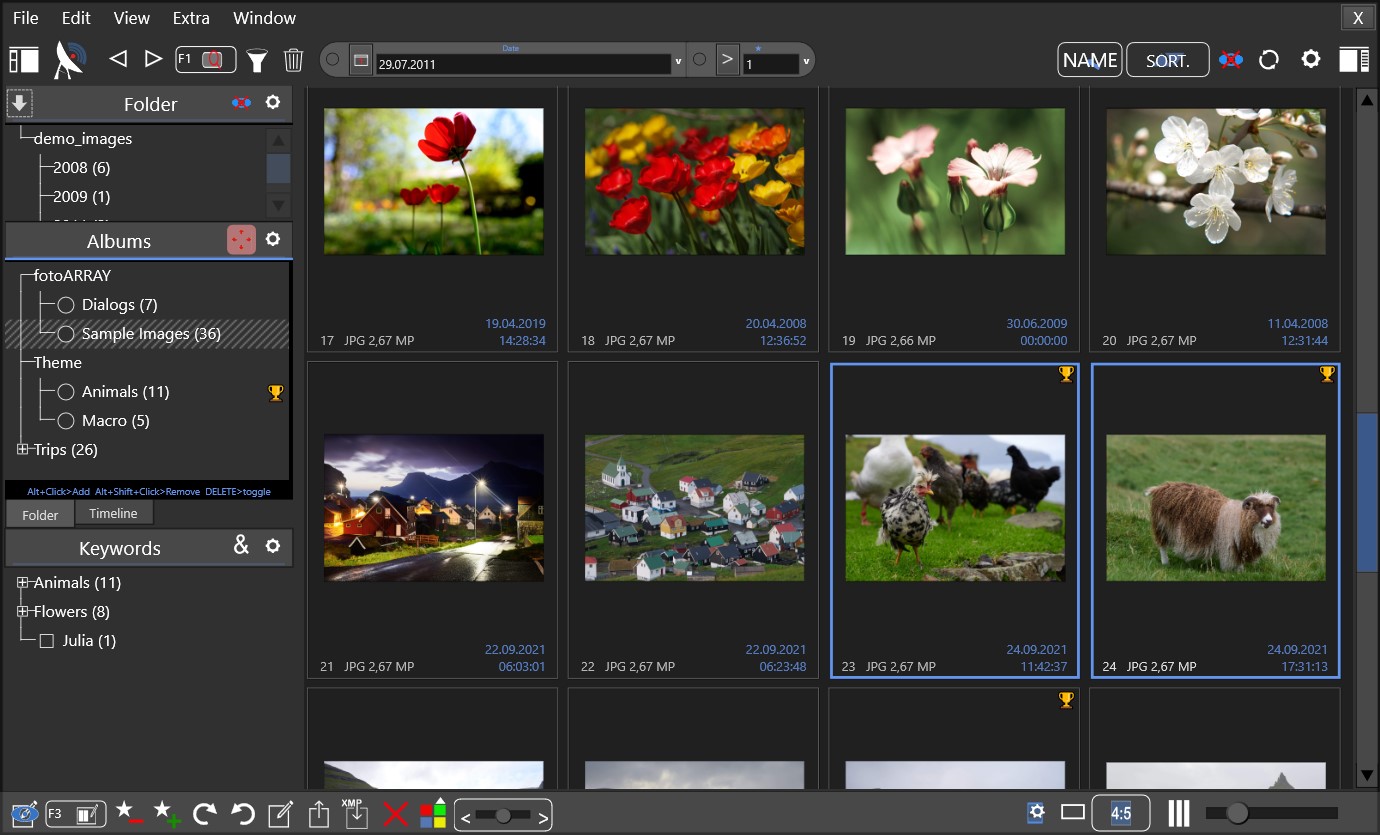 fotoARRAY