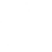 FourSite