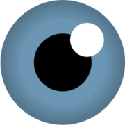 Fovea IP