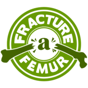 Fracture A Femur Productions