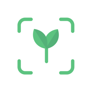 Free Plant Identifier