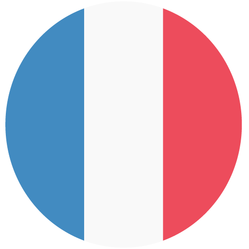 French Verb Practice