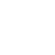 Frugal Flows