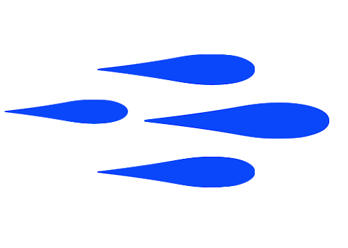Garfish
