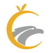 GA Software Technologies