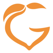 Georgia Virtual Learning