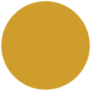 GDSI
