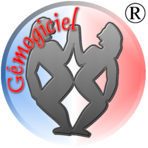 Gémogiciel