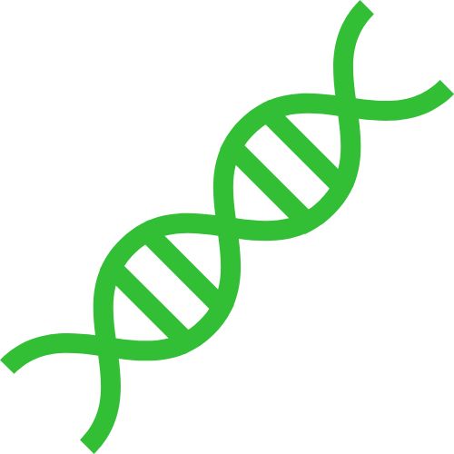 Genesis Network