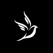 Genesis Studio