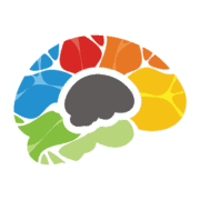 Bigger Brains